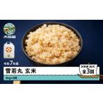 ふるさと納税 米 つや姫 山形県 大石田町 米 令和7年産 雪若丸 玄米 15kg 5kg×3回 毎月定期便 4月上旬・5月上旬・6月上旬発送 山形県産 東北 ap-yugxa15-tm4t…