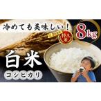 米 コシヒカリ 令和8年産新米 白米8kg 4kg×2袋