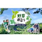 fu.... налог body . билет Chiba префектура большой много . блок W01803 травы .... травы подбородок ki.. body . добрый легкий еда есть ..... налог травы подбородок ki body . природа природа body . Chiba префектура...