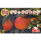 ブラッドオレンジ 5kg