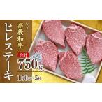 牛肉 ヒレ 奈義和牛ヒレステーキ 750g