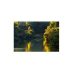 家具 天理の風景2 AUTUMN RADIANCE