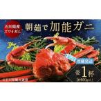 ふるさと納税 カニ ずわいガニ 石川県 加賀市 朝茹で加能ガニ姿1杯入り 蟹 かに ズワイガニ グルメ 海産物 贈り物 加賀 F6P-3185 1杯