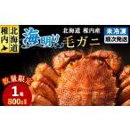 ふるさと納税 カニ 毛ガニ 北海道 稚内市 今だけ 稚内産海明け毛ガニ　浜ゆでチルド発送　800g前後