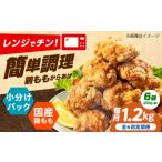 鶏肉 唐揚げ 全6回定期便 からあげ レンジで