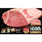 牛肉 ヒレ お試し定期便 艶さし 佐賀牛 ヒレステーキ