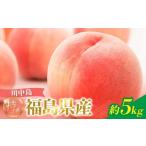 ふるさと納税 もも 福�