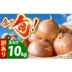 ふるさと納税 野菜類 玉ねぎ 佐賀県 江北町  今が旬 訳あり 玉ねぎ 10kg 　 えぐちファーム 不揃い たまねぎ HDE004