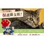 ねこ柄カードケース&ポリエステルタワシ