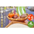 ふるさと納税 セット・詰合せ 愛媛県 西予市  旬の採れたて野菜が詰まったお楽しみBOX（3か月ごと年4回の定期便） 西予市遊子川産 農家さんの顔が見える野菜 …