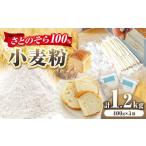 加工品等 小麦粉 中力粉 400g