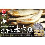 干物 コマイ A-50037 根室産 生干し氷下魚