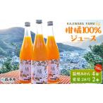 温州みかん 愛果28号 紅まどんな 高級柑橘