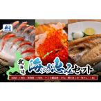 旬の鮮魚等 海の恵みセット 紅鮭 新巻鮭 いくら醤油漬け