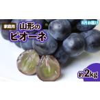 ふるさと納税 ぶどう 山形県 山形市  ご家庭用 山形のピオーネ優品約2kg(2~6房) 8月お届け 令和8年産先行予約 FS25-152 2026年8月発送