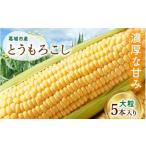 とうもろこし おおもの5本入り