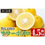 みかん 柑橘類 受付中 予定 竹ん子山のサワーポメロ 約4.5kg