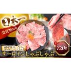 飛騨牛 A5 しゃぶしゃぶ用 ロース肉 720g