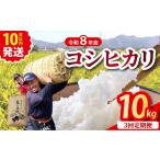 米 コシヒカリ 3回定期便 令和8年産 新米