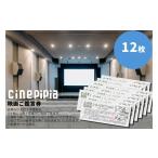 体験チケット シネ ピピア映画鑑賞券 12枚