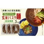 パスタ 生 半生めん 3回定期便 有機グアバ農園のグルテンフ…