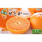 訳あり ワケアリ 果物 くだものフルーツ ミカン