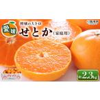 訳あり ワケアリ 果物 くだものフルーツ ミカン