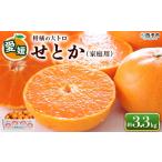 訳あり ワケアリ 果物 くだものフルーツ ミカン