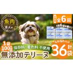 魚貝類 a1089-H 6回定期便 保存料