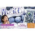 青い宝石 急速冷凍ブルーベリー 約500g