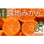 果物類 みかん 2回定期便 露地みかん 2S~Mサイズ 3kg
