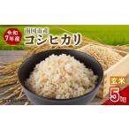 ふるさと納税 玄米 高知県 南国市 令和7年度 南国市産 コシヒカリ 玄米 5kg | 数量限定 米 コメ お米 ご飯 おにぎり こめ キロ 弁当 南国市米 高知県 南国市 …