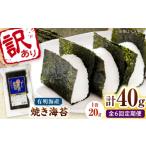 魚貝類のり 全6回定期便 福岡有明のり 訳あり