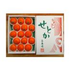 果物類 みかん 化粧箱 柑橘の大トロ ハウス