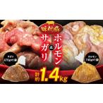 豚肉 焼肉 バーベキュー 味付豚ホルモン 味付豚サガリセット