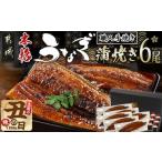 ふるさと納税 うなぎ 宮崎県 都城市  丑の日 職人手焼きの本格うなぎ蒲焼き6尾 7月20日〜25日お届け _38-33-003-6-UG_(都城市) 国産 本格 うなぎ 鰻 特製たれ…