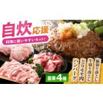 牛肉 通常発送 ハンバーグ付き 三栄のデイリーセット