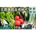 セット 詰合せ 3回定期便 2ヶ月に1回 野菜定期便