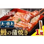 ふるさと納税 加工品等 徳島県 佐那河内村 国内産 鰻の蒲焼き 徳島県産 うなぎの蒲焼き 1尾 タレ・山椒付《30日以内に出荷予定(土日祝除く)》うなぎの蒲焼き …