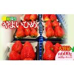 いちご やよいひめ 150gパック×4パック 計600g