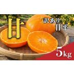 ふるさと納税 果物類 みかん 愛媛県 松山市 甘平 訳あり 5kg 順次発送中 | みかん 柑橘 みかん かんぺい ワケアリ 柑橘 みかん 果物 おすすめ 高級 愛媛三大柑…