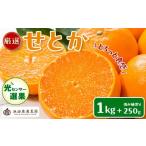 ふるさと納税 果物類 みかん 和歌山県 有田川町 ［先行予約］厳選 せとか1kg+250g（傷み補償分）［柑橘・春みかんの王様］［光センサー選果・食べ頃出荷］［IK…