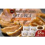 ふるさと納税 餃子 沖縄県 浦添市  琉みんみん 沖縄県産もずく餃子　4パック 　48個入り