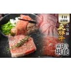 牛肉 ロース 飛騨牛 霜降り堪能 4回定期便