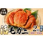 ふるさと納税 カニ 毛ガニ 岩手県 宮古市 三陸宮古産　活毛ガニ　300g〜350g×2杯 1711353