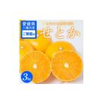 ふるさと納税 みかん・柑橘類 愛媛県 八幡浜市  ご家庭用 せとか 3kg 愛媛県 八幡浜産市 西宇和地区 柑橘の女王 C25-337 1713684