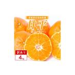 ふるさと納税 みかん・柑橘類 愛媛県 八幡浜市  訳あり 甘平 4kg 愛媛県 八幡浜市 西宇和地区 扁平で濃い味 E25-334 1714526