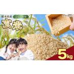 ふるさと納税 玄米 栃木県 矢板市 数量限定 お米 こしひかり 玄米 5kg 栃木県 矢板市