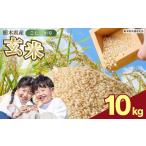 ふるさと納税 玄米 栃木県 矢板市 数量限定 お米 こしひかり 玄米 10kg 栃木県 矢板市