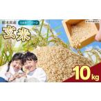 ふるさと納税 玄米 栃木県 矢板市 数量限定 お米 ミルキークイーン 玄米 10kg 栃木県 矢板市